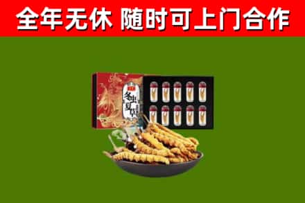 西固回收冬虫夏草价格